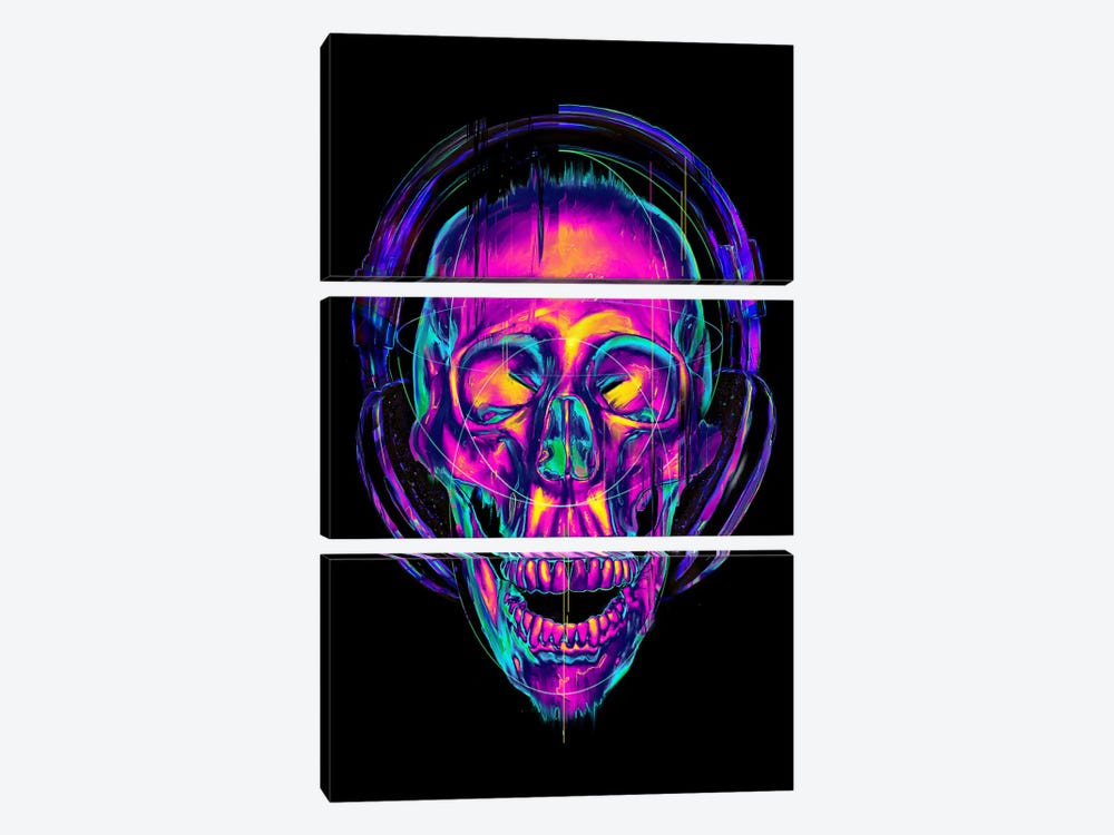 Trippy Skull by Nicebleed 3-piece Canvas Print