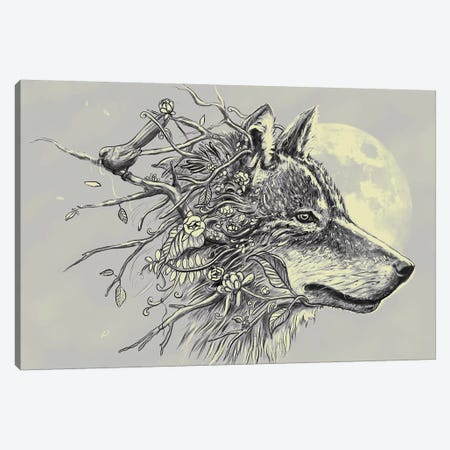 Gray Wolf Canvas Print #NID271} by Nicebleed Canvas Artwork