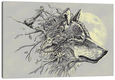 Gray Wolf Canvas Art Print - Wolf Art