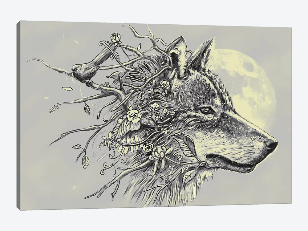 Gray Wolf by Nicebleed 1-piece Art Print