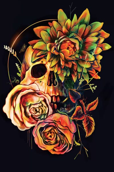 Skulls: Life And Death II by Nicebleed