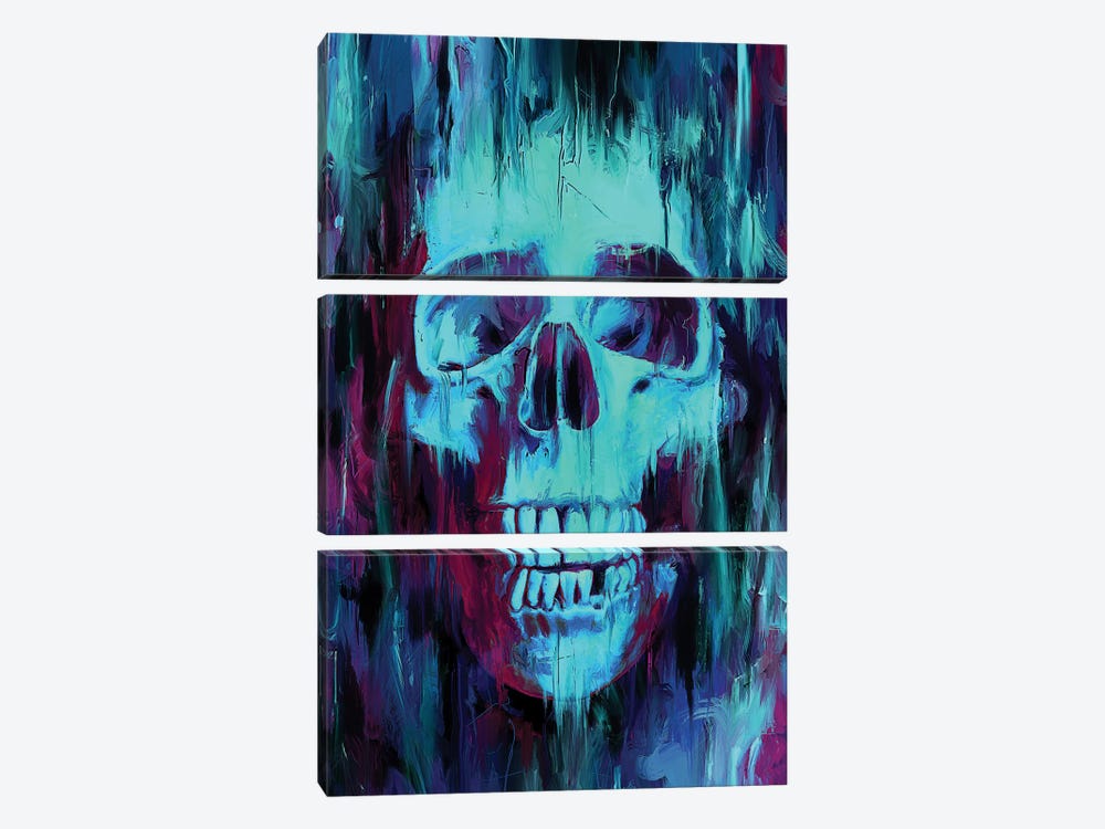 Skull Paint by Nicebleed 3-piece Canvas Art Print
