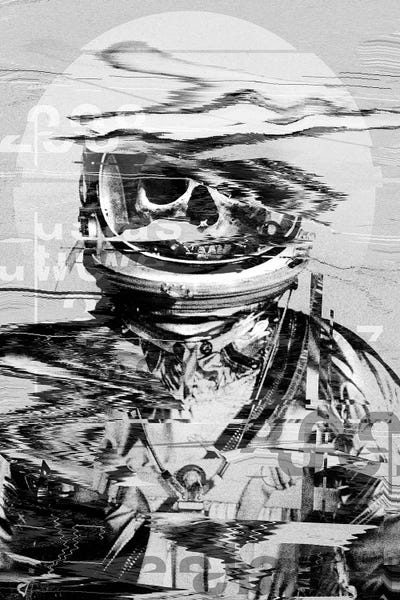 Skeletons: Astro Skull by Nicebleed