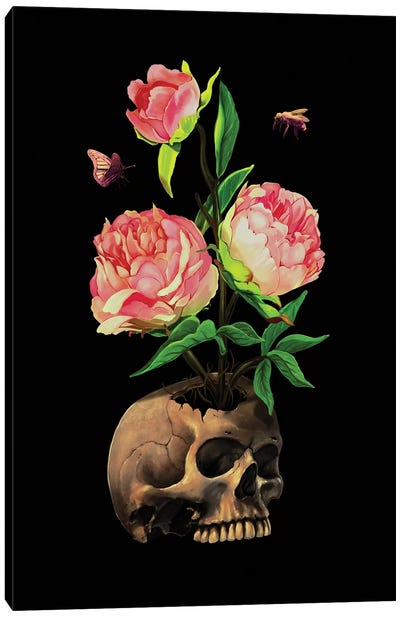 Rebirth (Life And Death) Canvas Art Print - Nicebleed