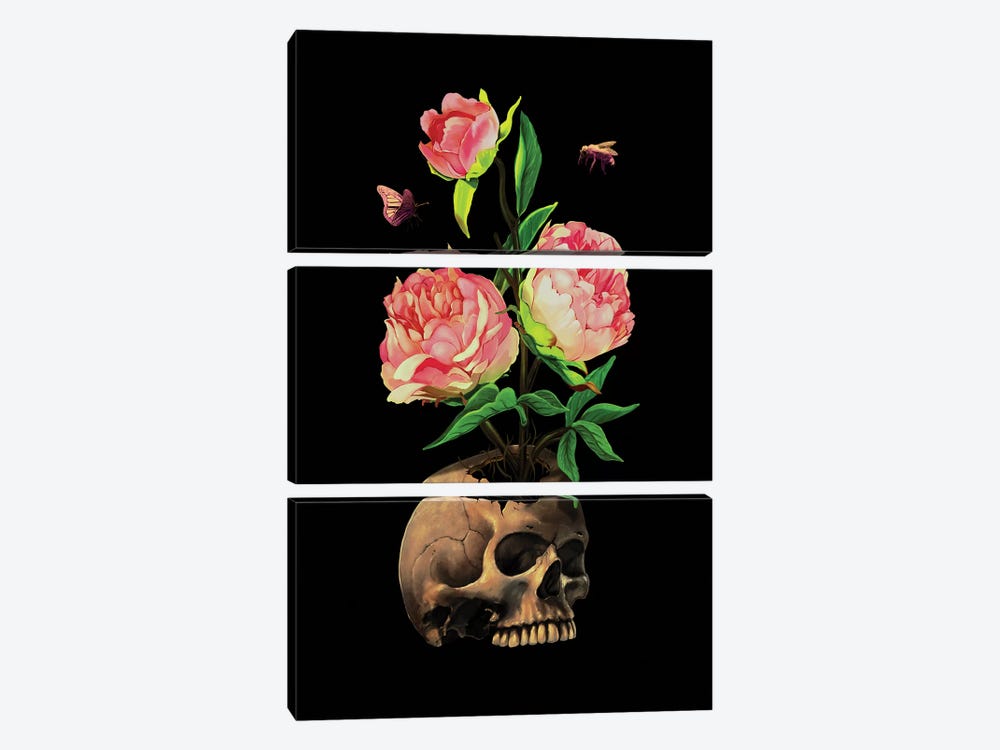 Rebirth (Life And Death) by Nicebleed 3-piece Canvas Art