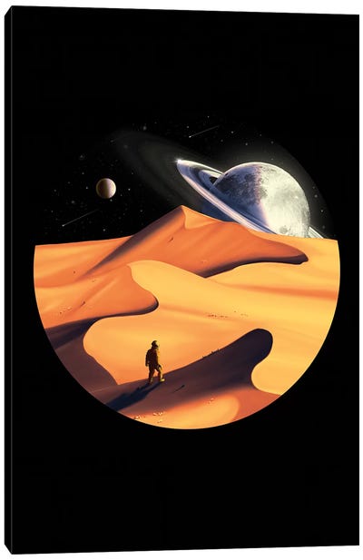 The Wanderer Canvas Art Print - Planet Art