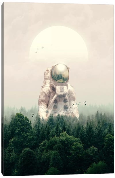The Guest Canvas Art Print - Astronomy & Space Art