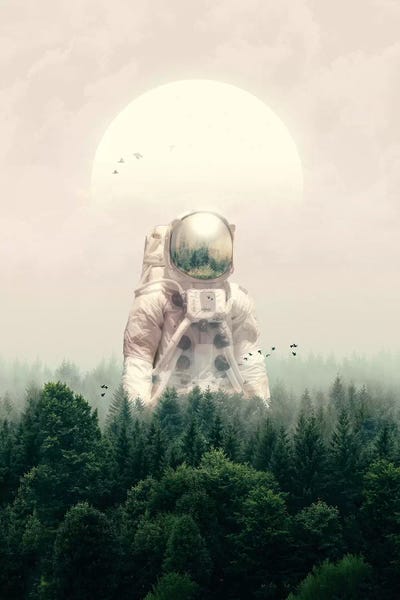 Edgy Bedroom: The Guest by Nicebleed