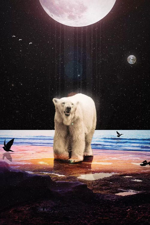 Lone Soul by Nicebleed wall art
