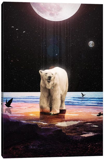 Lone Soul Canvas Art Print - Polar Bear Art