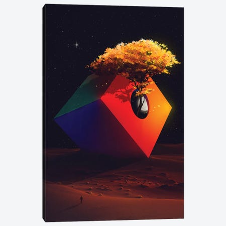 The Sanctuary Canvas Print #NID359} by Nicebleed Canvas Print