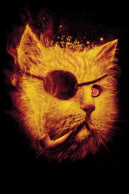 Irie Eye by Nicebleed wall art