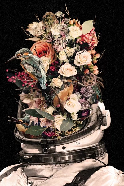 Alternative Décor: Bloom by Nicebleed