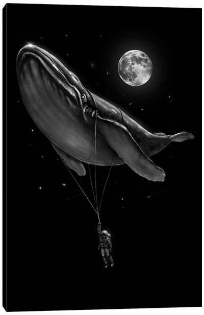 Hitching A Ride Canvas Art Print - Whale Art