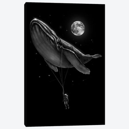 Hitching A Ride Canvas Print #NID378} by Nicebleed Canvas Print