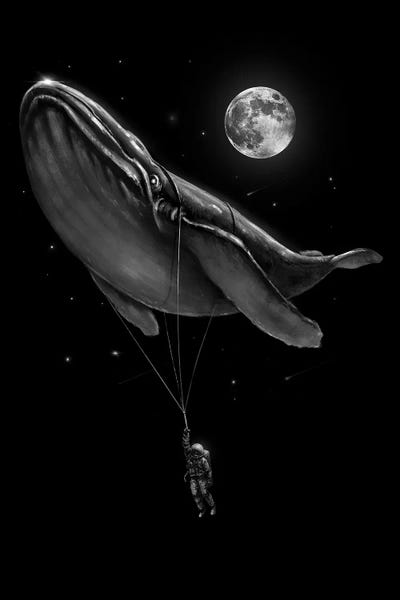 Whales: Hitching A Ride by Nicebleed