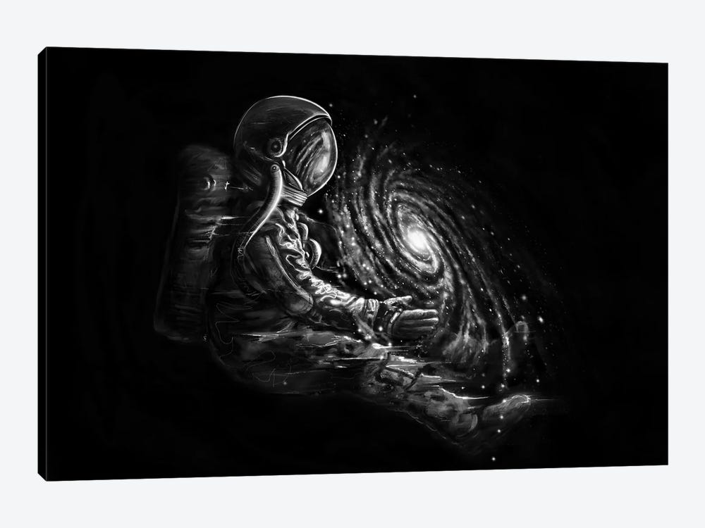 Galaxy Play by Nicebleed 1-piece Canvas Wall Art