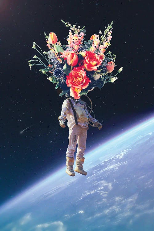 Floral Burst by Nicebleed wall art
