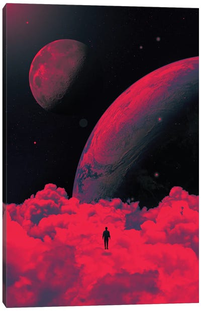 Red Dream II Canvas Art Print - Nicebleed