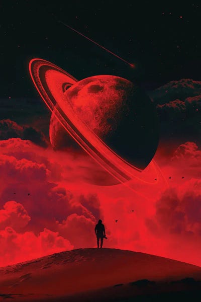 Alone With The Moon by Nicebleed framed canvas print