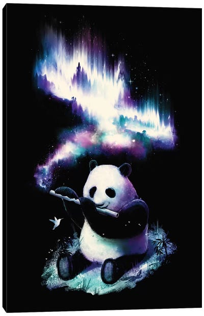Music Is My Universe Canvas Art Print - Panda Art
