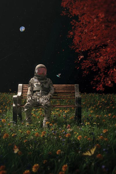 Large Wall Art & Big Canvas Prints: An Interlude by Nicebleed