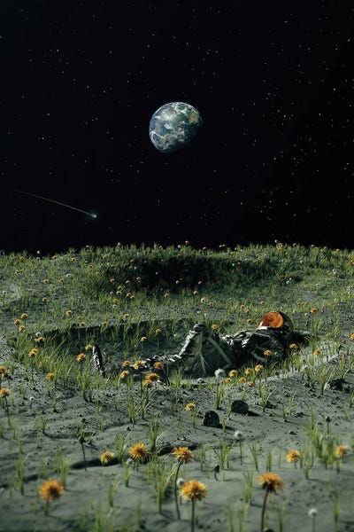 Digital Art: A New Home by Nicebleed