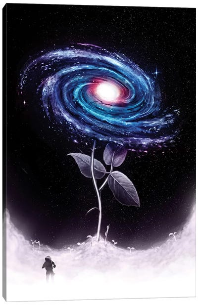 My Little Flower Canvas Art Print - Galaxy Art