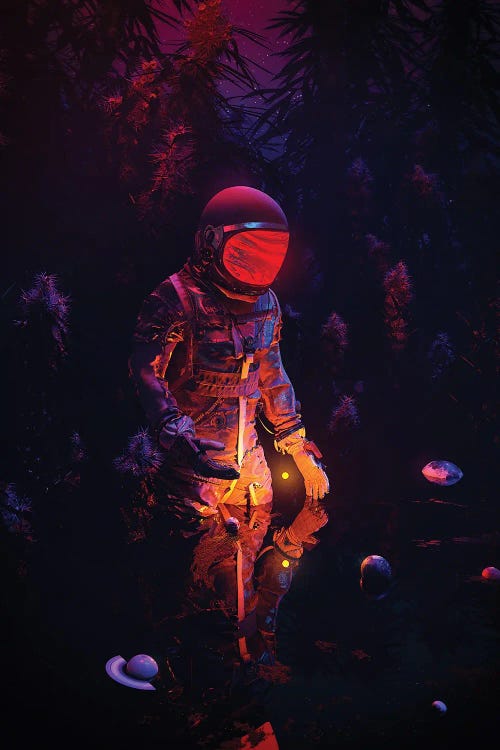 Stellar Spot by Nicebleed wall art