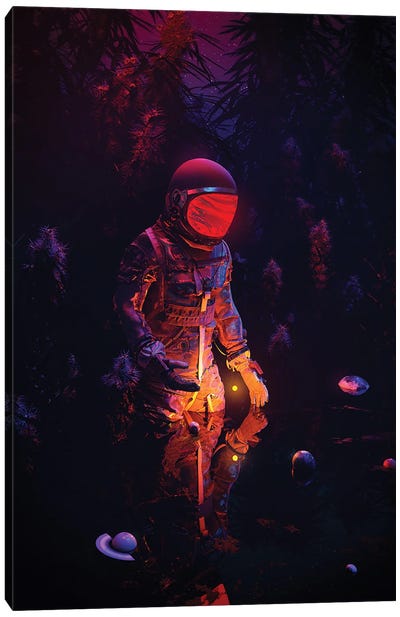 Stellar Spot Canvas Art Print - Space Exploration Art
