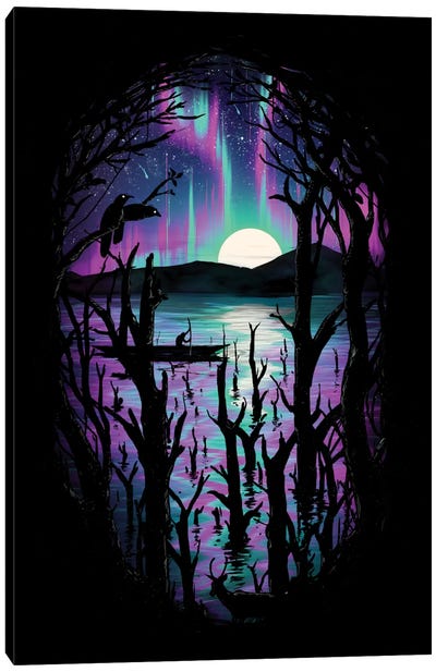 Night With Aurora Canvas Art Print - Aurora Borealis Art
