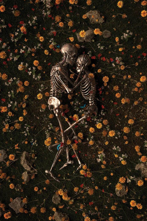 Memento Mori II by Nicebleed wall art