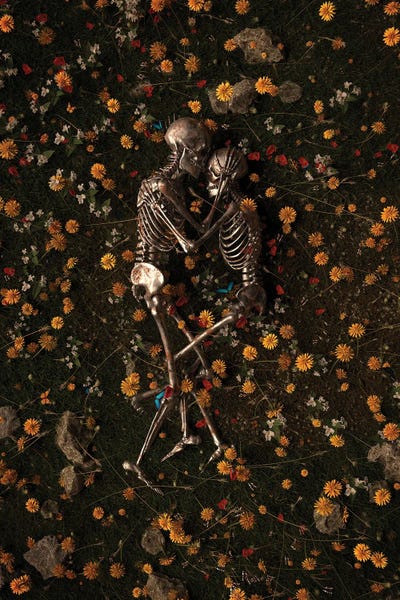 Floral & Botanical: Memento Mori II by Nicebleed