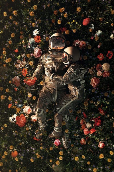 Big Prints & Large Wall Art - Canvas Prints: Garden Delights II by Nicebleed