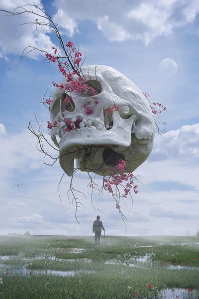 Memento Mori III by Nicebleed canvas print