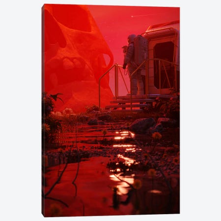 Red Haze Canvas Print #NID527} by Nicebleed Canvas Print