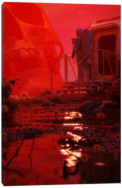 Red Haze Canvas Art Print - Nicebleed