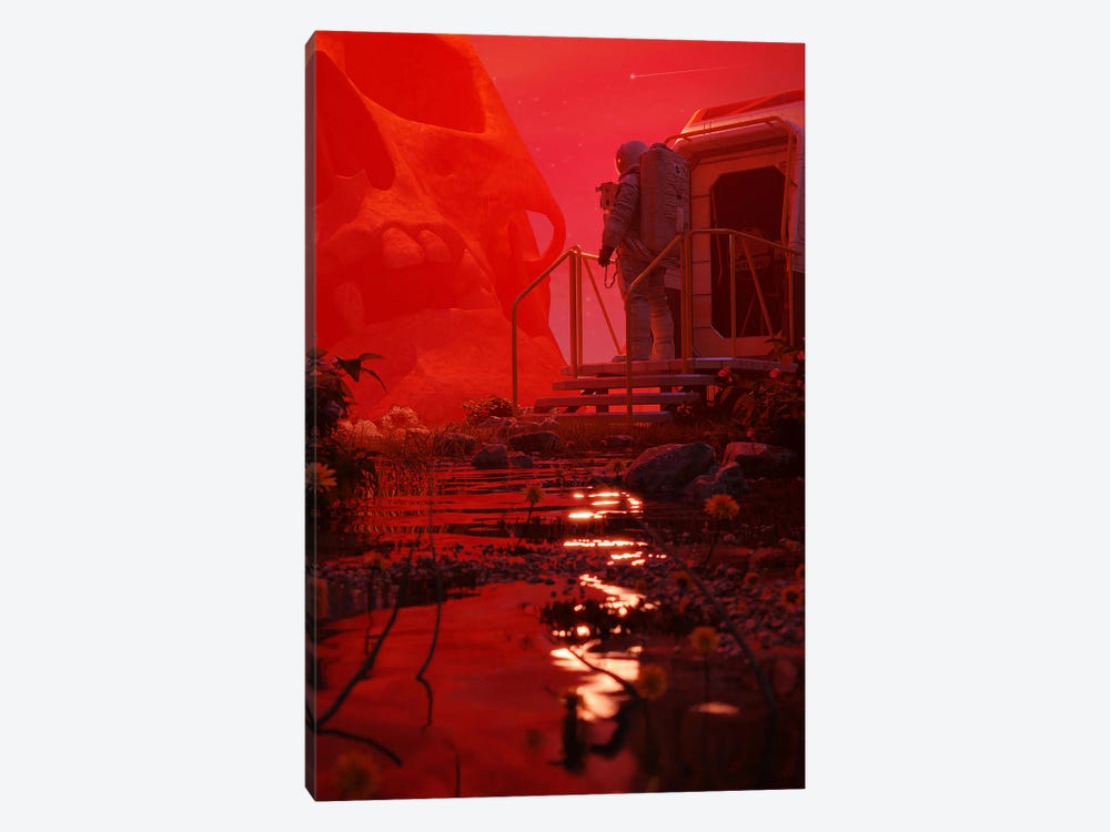 Red Haze by Nicebleed 1-piece Art Print