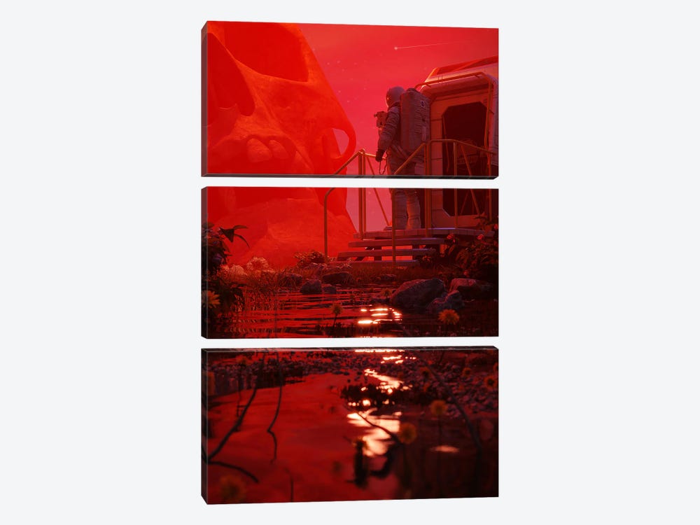 Red Haze by Nicebleed 3-piece Art Print