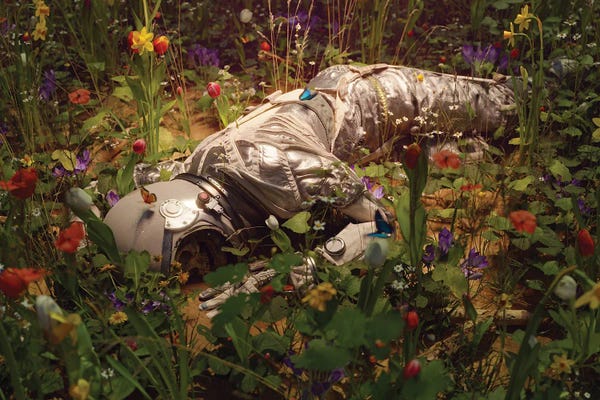 Reclaimed By Nature: Silent Reverie by Nicebleed