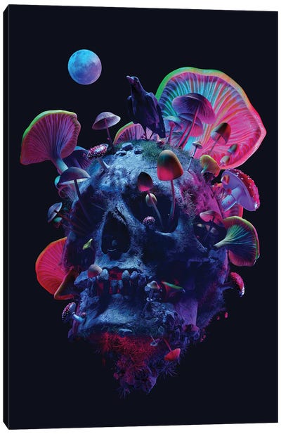 Enchanted Death Canvas Art Print - Mushroom Art