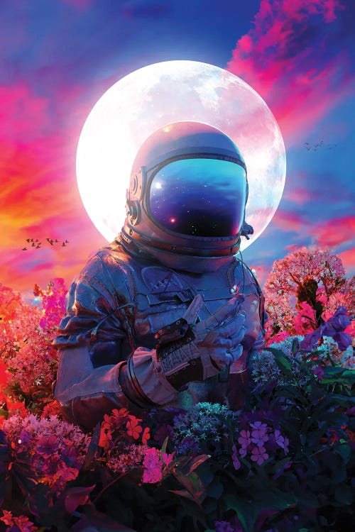 In The Garden by Nicebleed wall art