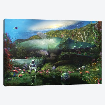 A Trip To Nowhere Canvas Print #NID542} by Nicebleed Canvas Art