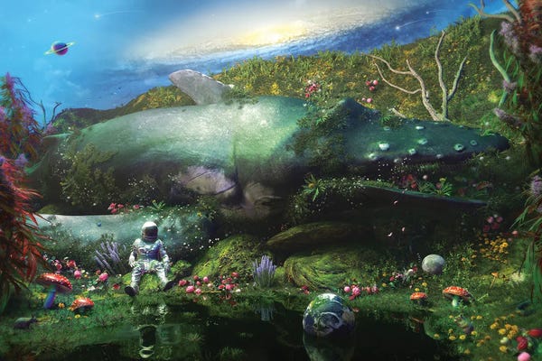 Gardens & Floral Landscapes: A Trip To Nowhere by Nicebleed