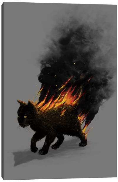 Cat On Fire Canvas Art Print