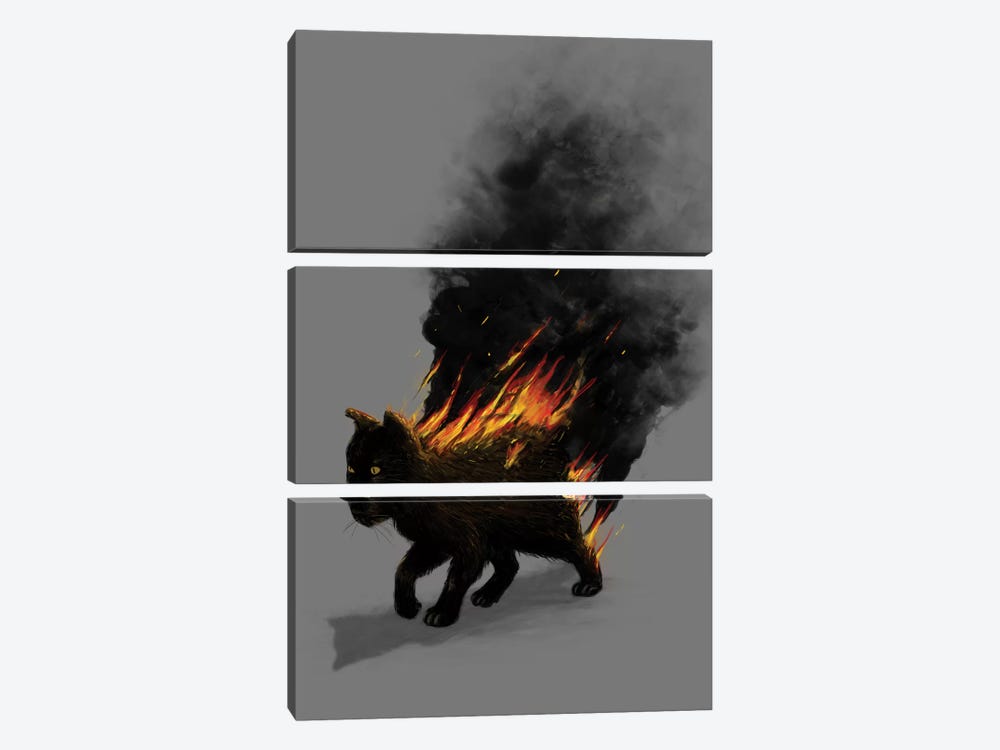 Cat On Fire by Nicebleed 3-piece Canvas Wall Art