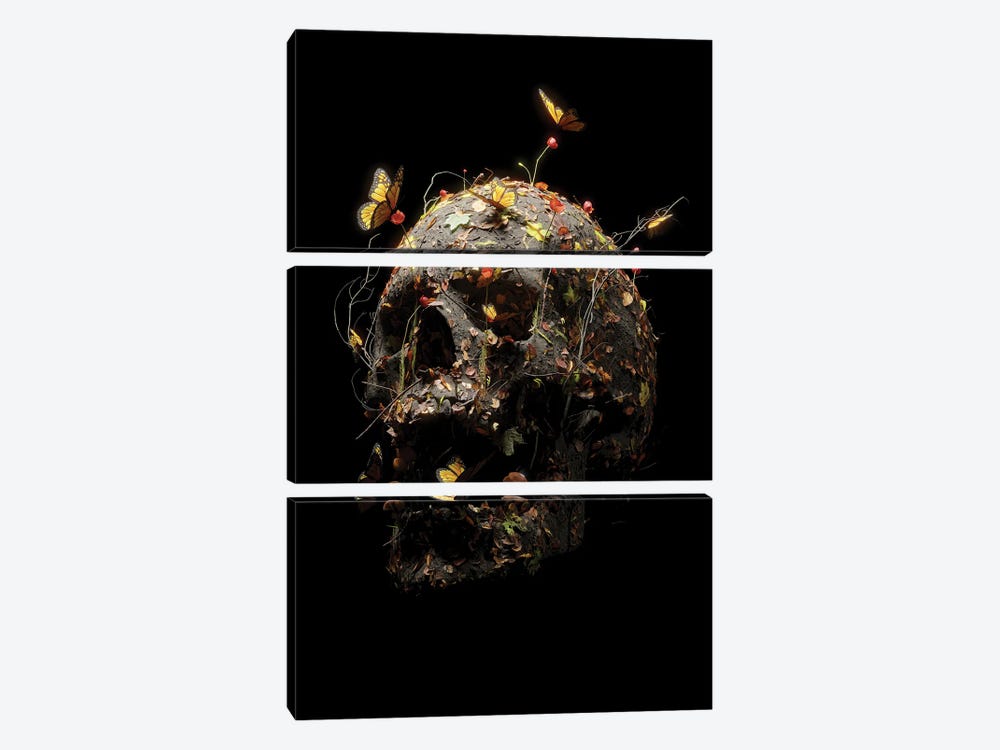 Autumn Skull by Nicebleed 3-piece Canvas Art