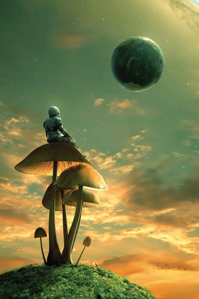 Edgy Bedroom: A Trip II by Nicebleed