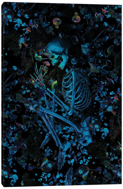 Beneath The Fungi Canvas Art Print - Skeleton Art