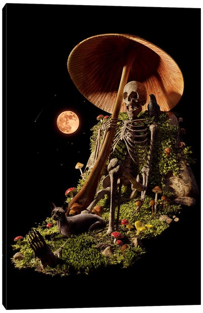 Myco Chill Canvas Art Print - Skeleton Art